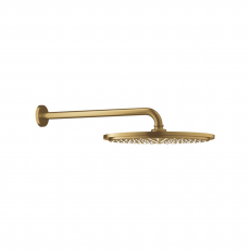 26066GN0 Верхний душ GROHE Rainshower с кронштейном, холодный рассвет матовый