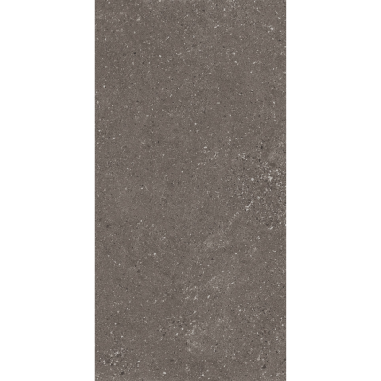 ASTRA GRIS 600*1200 керамогранит матовый