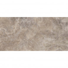 TWU09VLN404 Плитка облицовочная  Veliente 249*500