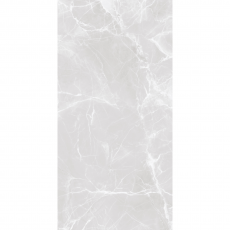 Керамогранит полированный AQUARIUS GREY 600*1200