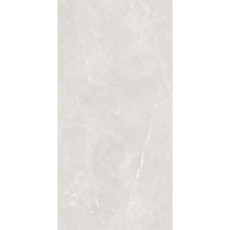 Керамогранит полированный NOVELLE GRIS 600*1200