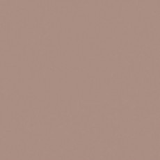 RW08 Керамогранит неполированный 60x60