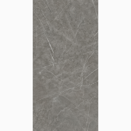 ARAN DARK GREY 600*1200 керамогранит матовый